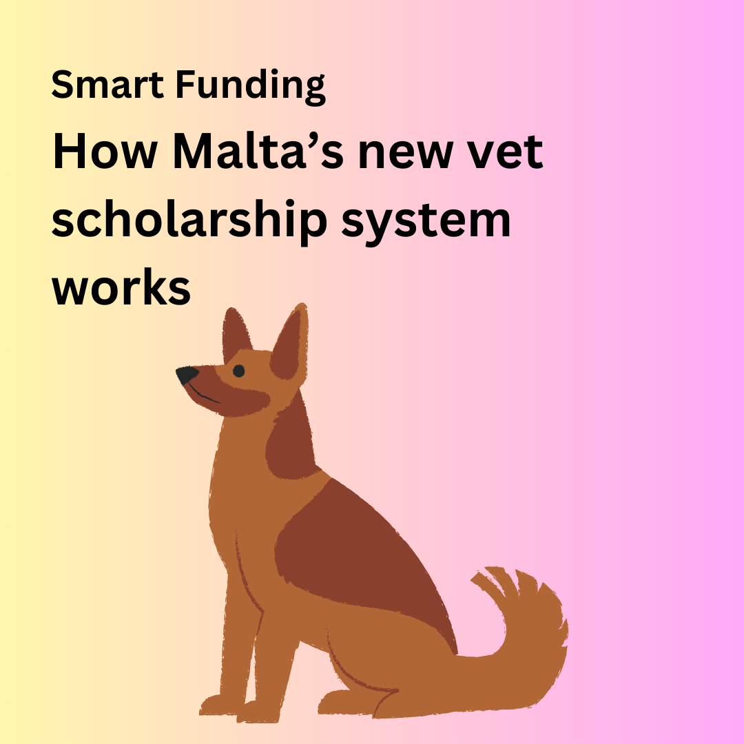 Vet Scholarship Scheme Malta: Easy Guide (2024 Application)