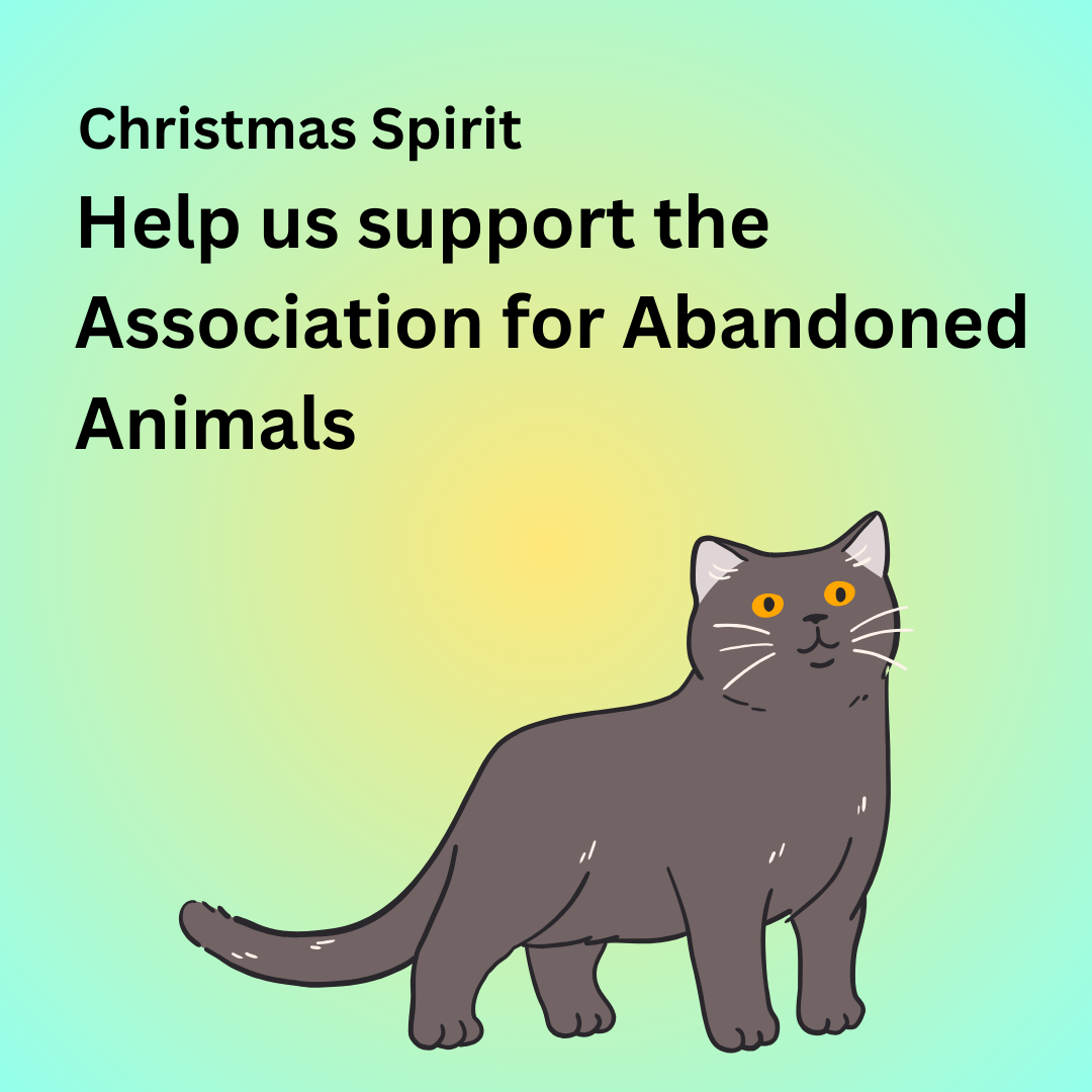 Join Elephant & Cross in Supporting Abandoned Animals This Christmas 🎄